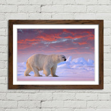 Load image into Gallery viewer, Polar Bear on Arctic Ice
