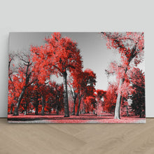 Load image into Gallery viewer, Red Trees in Central Park New York
