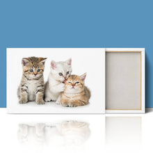 Load image into Gallery viewer, Three Kittens Cats Cute
