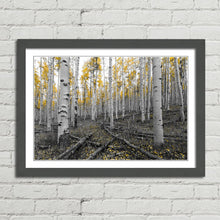 Load image into Gallery viewer, Yellow Tree Forest Scene
