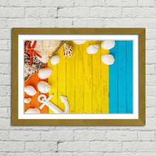 Load image into Gallery viewer, Colourful Wooden Background Sea Shells
