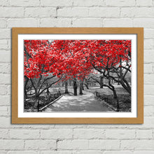 Load image into Gallery viewer, Red Trees Central Park New York
