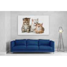 Load image into Gallery viewer, Three Kittens Cats Cute
