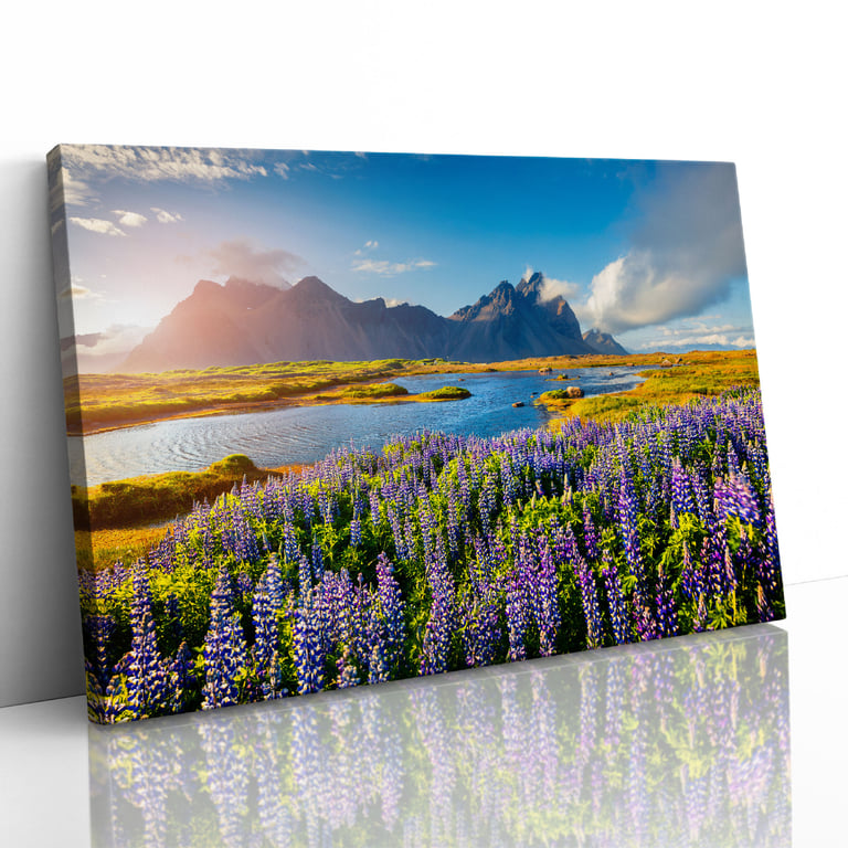 Flowers in Bloom at Stokksnes Iceland