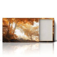 Load image into Gallery viewer, Sunlight through Autumn Trees Forest
