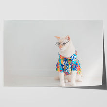 Load image into Gallery viewer, Cat in Shirt Glasses Holiday Funny Cute
