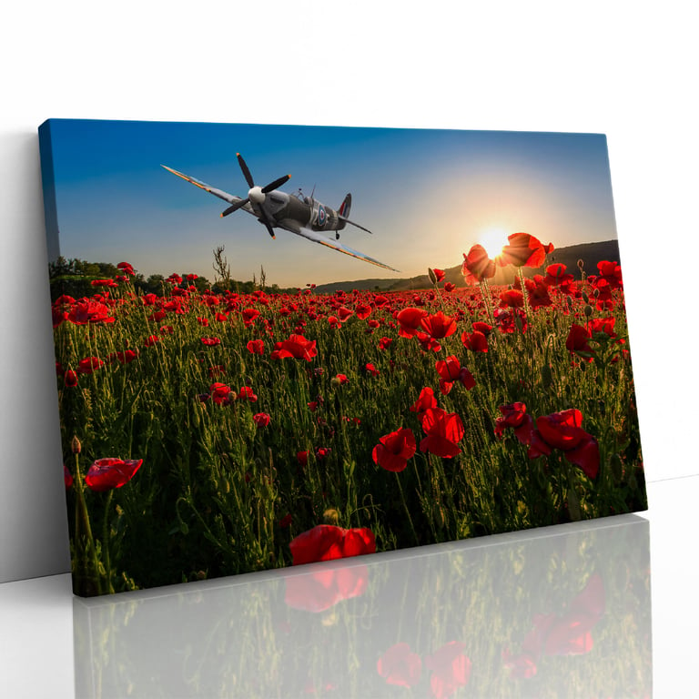 Spitfire over Poppy Field Sunset Remembrance