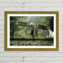 Load image into Gallery viewer, Rice Paddy Farmer Laos
