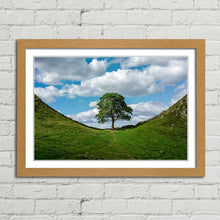 Load image into Gallery viewer, Sycamore Gap at Hadrian&#39;s Wall
