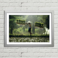 Load image into Gallery viewer, Rice Paddy Farmer Laos
