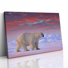 Load image into Gallery viewer, Polar Bear on Arctic Ice
