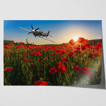 Load image into Gallery viewer, Spitfire over Poppy Field Sunset Remembrance
