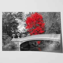 Load image into Gallery viewer, Red Tree Central Park Bridge New York
