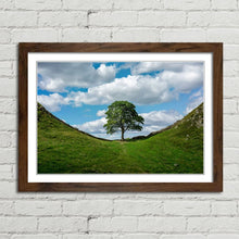 Load image into Gallery viewer, Sycamore Gap at Hadrian&#39;s Wall
