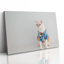 Load image into Gallery viewer, Cat in Shirt Glasses Holiday Funny Cute
