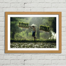 Load image into Gallery viewer, Rice Paddy Farmer Laos
