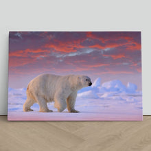 Load image into Gallery viewer, Polar Bear on Arctic Ice
