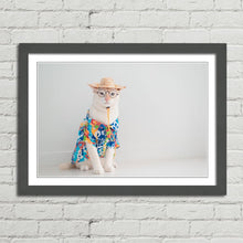 Load image into Gallery viewer, Cat on Holiday in Shirt Hat Funny Cute
