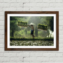 Load image into Gallery viewer, Rice Paddy Farmer Laos
