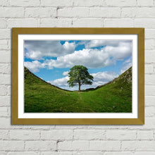 Load image into Gallery viewer, Sycamore Gap at Hadrian&#39;s Wall
