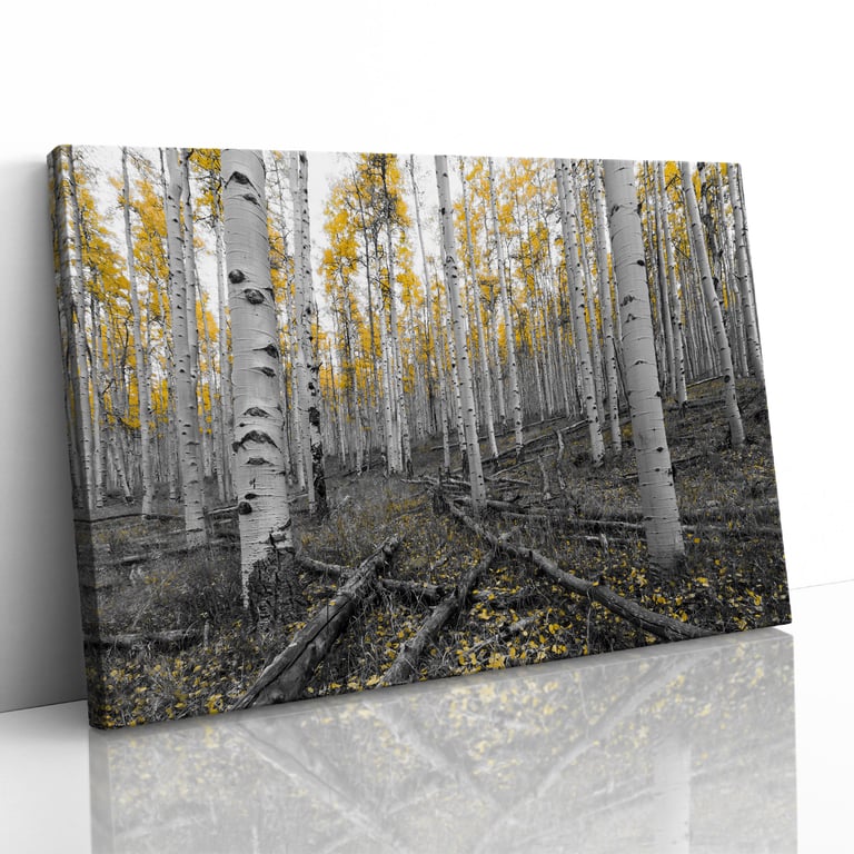 Yellow Tree Forest Scene