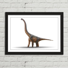 Load image into Gallery viewer, Dinosaur Brontosaurus
