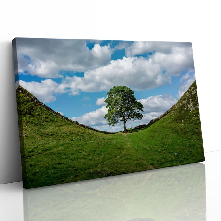 Sycamore Gap at Hadrian's Wall