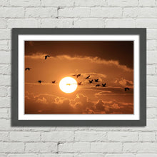 Load image into Gallery viewer, Cranes Flying at Sunset
