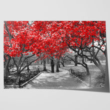 Load image into Gallery viewer, Red Trees Central Park New York
