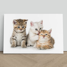 Load image into Gallery viewer, Three Kittens Cats Cute
