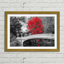 Load image into Gallery viewer, Red Tree Central Park Bridge New York
