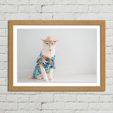 Load image into Gallery viewer, Cat on Holiday in Shirt Hat Funny Cute
