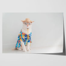 Load image into Gallery viewer, Cat on Holiday in Shirt Hat Funny Cute
