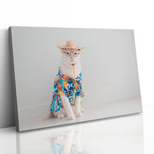 Load image into Gallery viewer, Cat on Holiday in Shirt Hat Funny Cute
