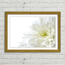 Load image into Gallery viewer, White Flower
