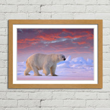 Load image into Gallery viewer, Polar Bear on Arctic Ice
