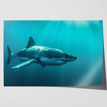 Load image into Gallery viewer, Great White Shark Jaws
