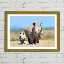 Load image into Gallery viewer, White Rhinoceros Baby
