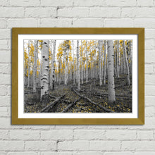 Load image into Gallery viewer, Yellow Tree Forest Scene
