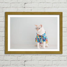 Load image into Gallery viewer, Cat in Shirt Glasses Holiday Funny Cute
