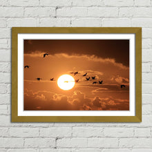 Load image into Gallery viewer, Cranes Flying at Sunset
