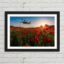 Load image into Gallery viewer, Spitfire over Poppy Field Sunset Remembrance
