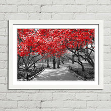 Load image into Gallery viewer, Red Trees Central Park New York
