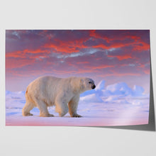 Load image into Gallery viewer, Polar Bear on Arctic Ice
