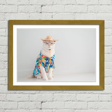 Load image into Gallery viewer, Cat on Holiday in Shirt Hat Funny Cute
