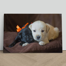 Load image into Gallery viewer, Cute Labrador Puppies Close Up
