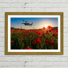 Load image into Gallery viewer, Spitfire over Poppy Field Sunset Remembrance
