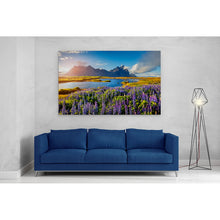 Load image into Gallery viewer, Flowers in Bloom at Stokksnes Iceland
