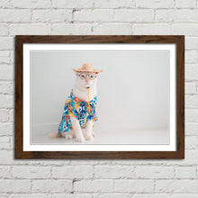 Load image into Gallery viewer, Cat on Holiday in Shirt Hat Funny Cute
