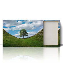 Load image into Gallery viewer, Sycamore Gap at Hadrian&#39;s Wall
